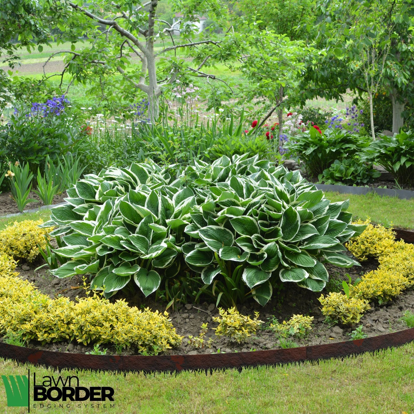 Hammer In Cor-Ten Lawn Edging System